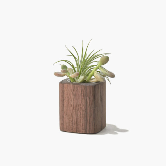 Walnut Planter